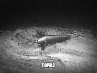 Rapala Wallpaper Lauri Had Moved