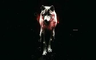 Wolf Wallpaper With Dark Black Background Space