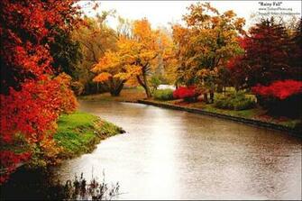 Rainy Fall