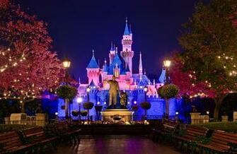 Disneyland Spring Hub Night Photo Disney Tourist