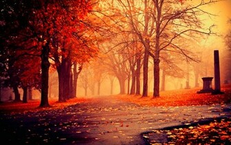 Autumn Nature Wallpaper HD Pictures One