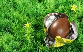 Easter Egg Chocolate HD Wallpaper Theme Bin Customization