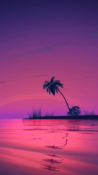 Sunset Palm Tree Scenery 4k Wallpaper iPhone HD Phone 3161m