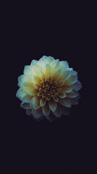 Cute Dark Girly Wallpaper