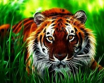 3d Mighty Tiger Live Wallpaper Screenshot