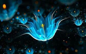 Neon Flowers Black Background Dark Wallpaper