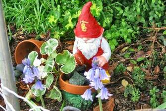 Garden Gnome Wallpaper