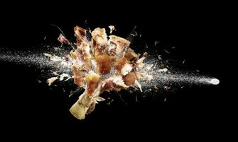 HD Ultra Slow Motion Image And Wallpaper