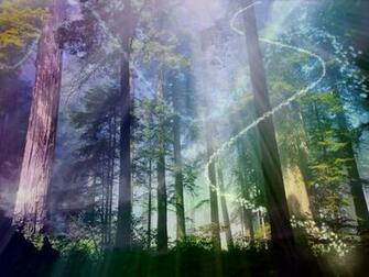 Magical Forest Wallpaper Sf