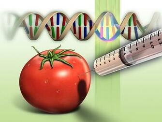 Food Background Wallpaper Gmo Facts Genetically Modified