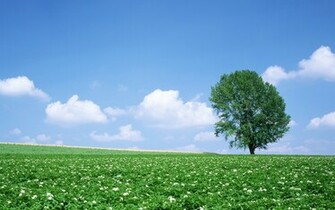 Summer Wallpaper HD