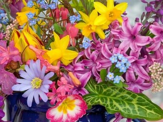 Spring Flowers From The Garden Wallpaper HD