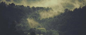 Ultra Wide Nature Wallpaper