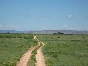 Texas Supreme Court Sides With South Ranch In Wrongful Death