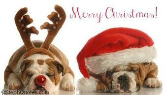 Funny Christmas Sayings