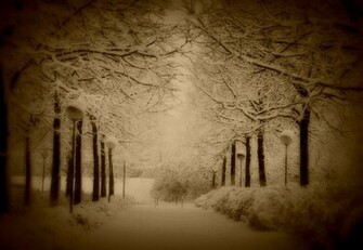Landscapes Sepia Winter Snow Lamp Light Wallpaper Background