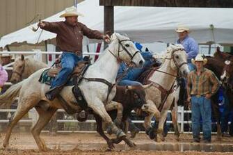 Rodeo Wallpaper HD