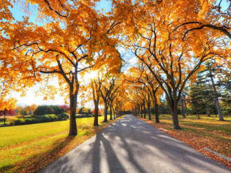 Peaceful Autumn Landscape In X Resolution Wallpaper