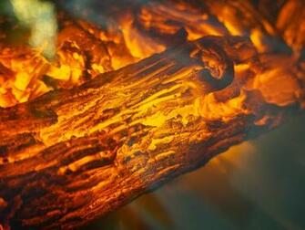 Wallpaper Coal Smoldering Fire HD Background