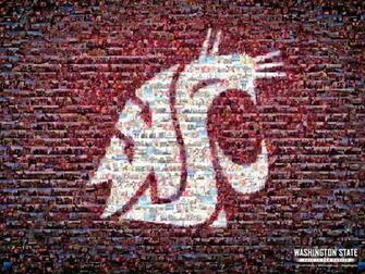 University Of Washington Wallpaper Reproductive Fitness