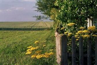 German Countryside By Schorlem Dchen Erutan