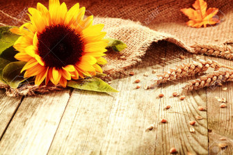 Rustic Desktop Wallpaper On