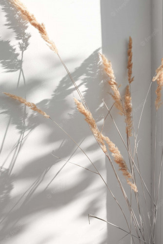 Pampas Grass Wallpaper