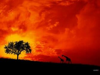 Wallpapertock Net Twilight Html