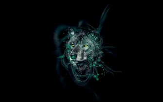 Cool Wolf Pics Alpha And Omega Wallpaper