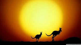 Kangaroo Wallpaper X Net