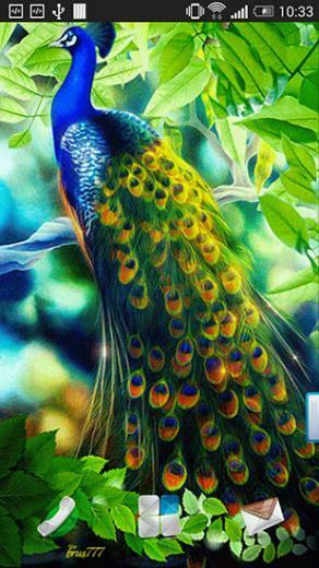 Live Wallpaper Best For Android Tablet