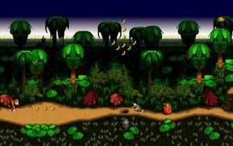 Donkey Kong Country Computer Wallpaper Desktop Background