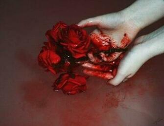 Bloody Roses Pictures Photos And Image For