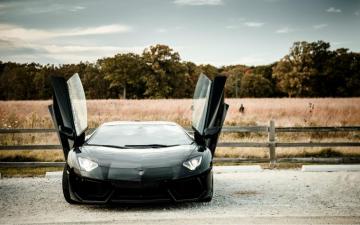 Lamborghini Aventador Open Door Wallpaper