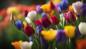 Live Flowers Wallpaper