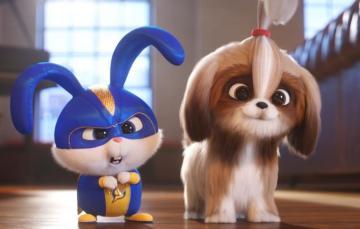 Wallpaper Rabbit Puppy The Secret Life Of Pets
