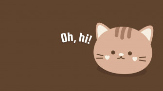 Cat Wallpaper