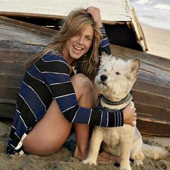 Aniston Bikini Wallpaper Desktop