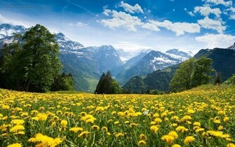Beautiful Wallpaper For Desktop Mountain