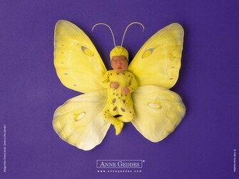 Anne Geddes Wallpaper Desktop Photography Photos