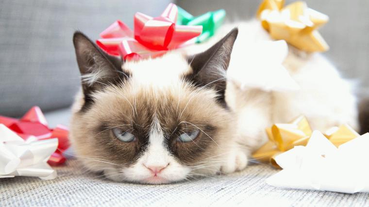 Grumpy Cat Christmas Wallpaper