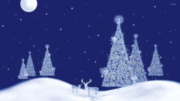 Glowing White Christmas Trees On A Beautiful Winter