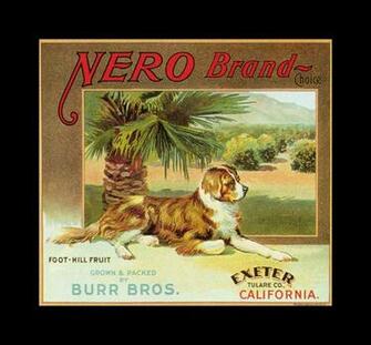 Nero Brand Oranges Vintage Fruit Crate Labels Wallpaper Image