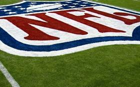 National Football League Nfl All Teams