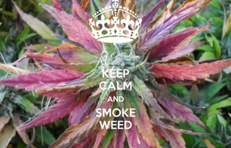 Purple Bud Quotes