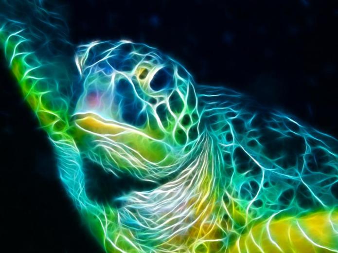 Screensaver Res Great World
