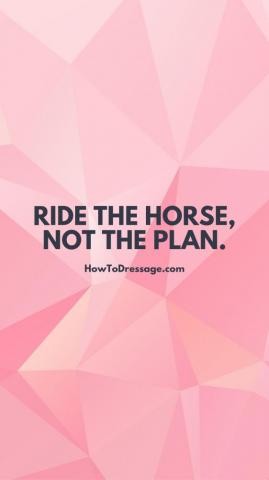 Ride The Horse Not Plan Phone Wallpaper