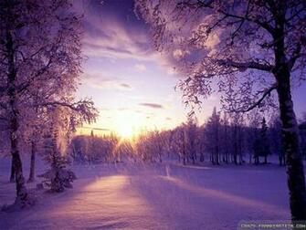 Winter Is Coming Wallpaper Crazy Frankenstein Falling Snow
