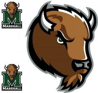 Ncaa Marshall Thundering Herd Large Wall Accent Murals Stickers