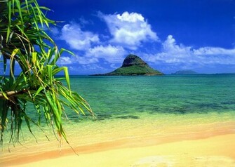 Hawaii Beach Pictures